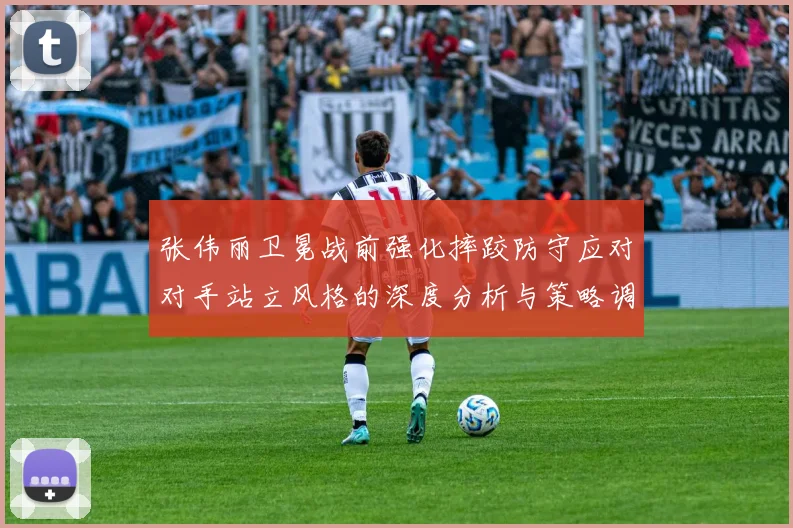 张伟丽卫冕战前强化摔跤防守应对对手站立风格的深度分析与策略调整