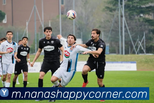 奖项图3